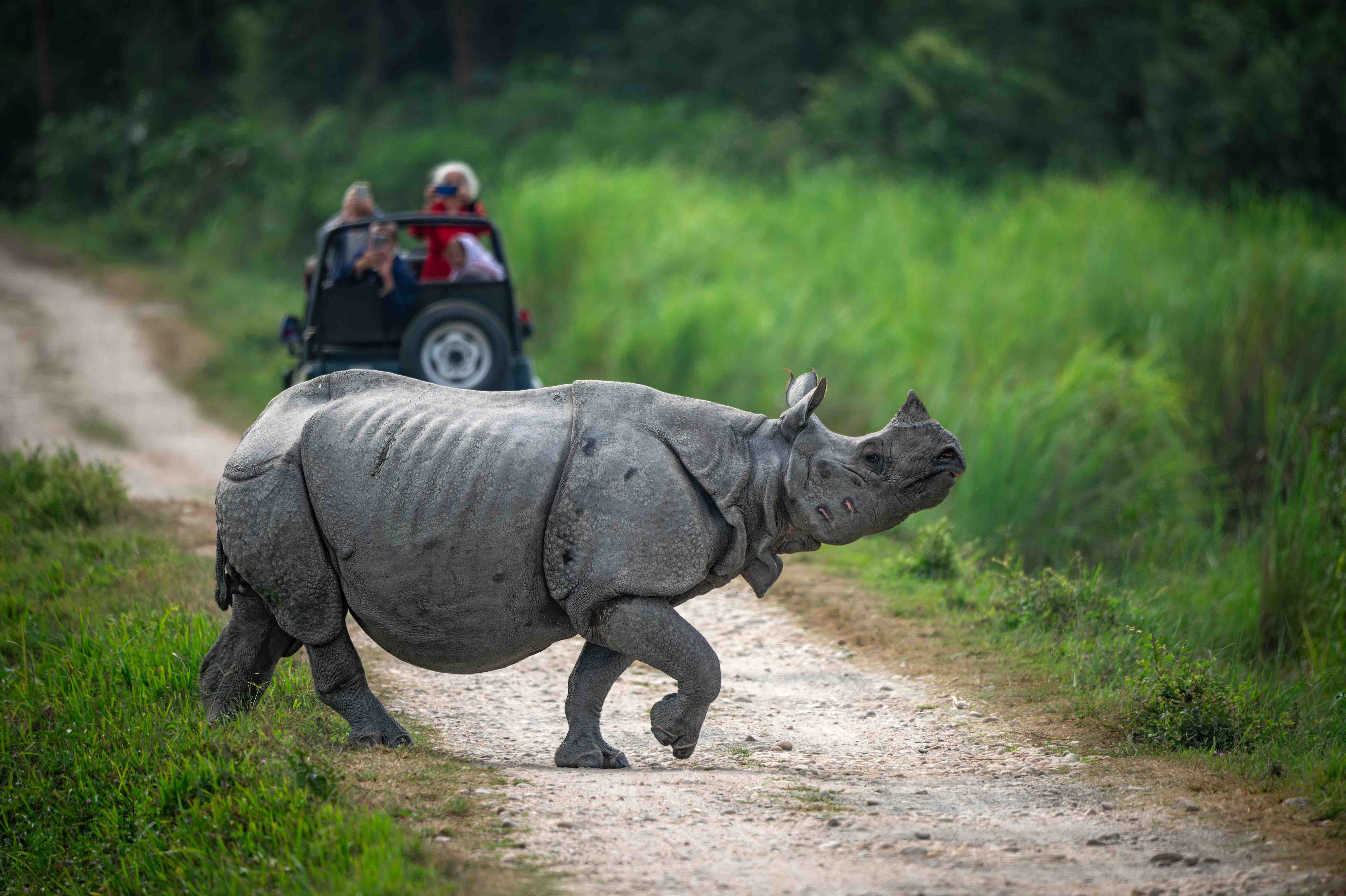 Kaziranga Meghalaya Wildlife Adventure