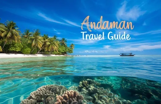 Unlock The Best Guide To Andaman