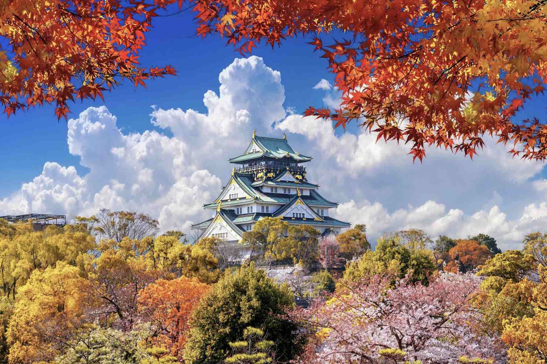 Autumn in Japan: Best Places to See the Fall Colours