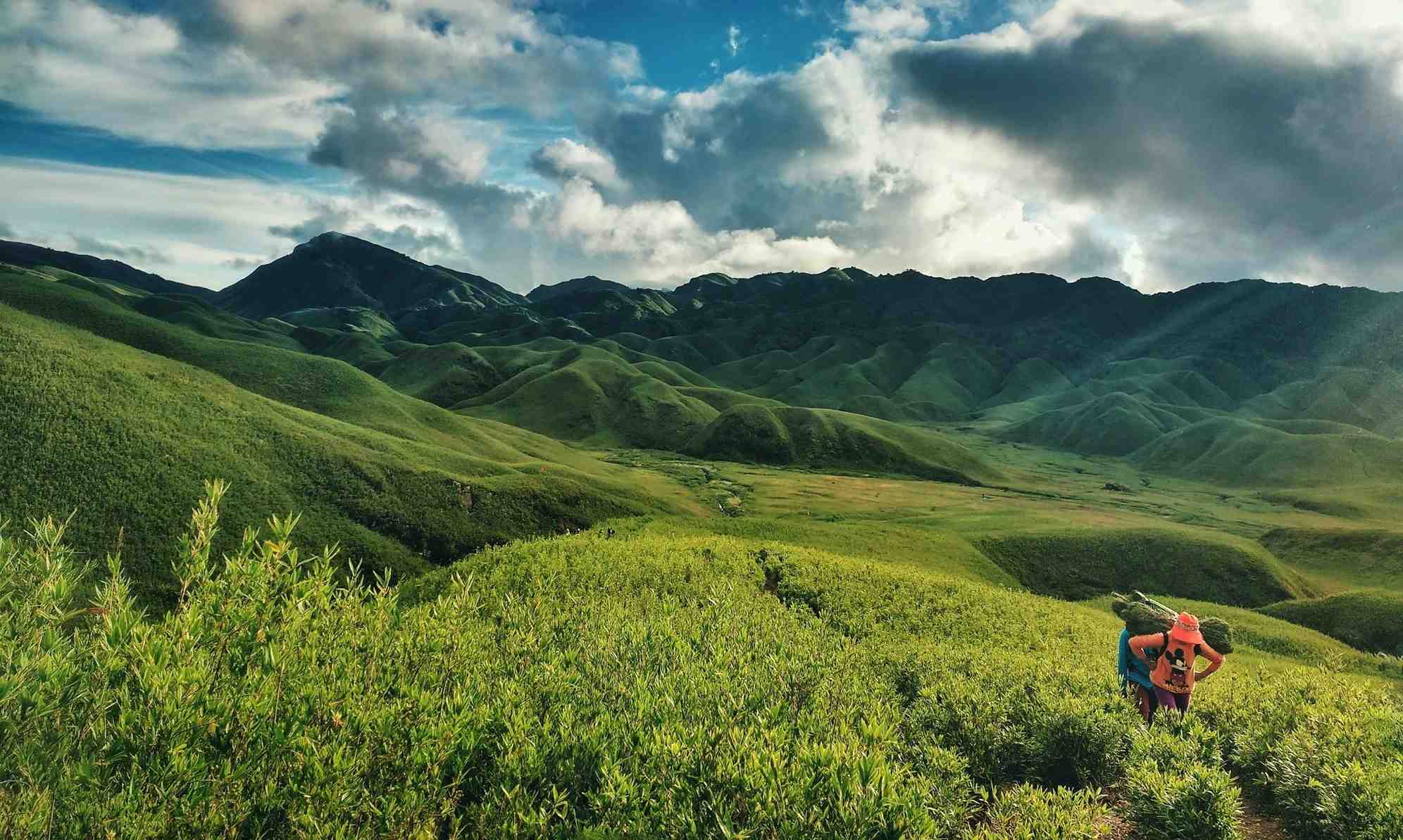 Best Dzukou Valley Trek Packages 2026 for Groups: Kohima to Valley Route, Camp Nights, Permits & Expert Guide