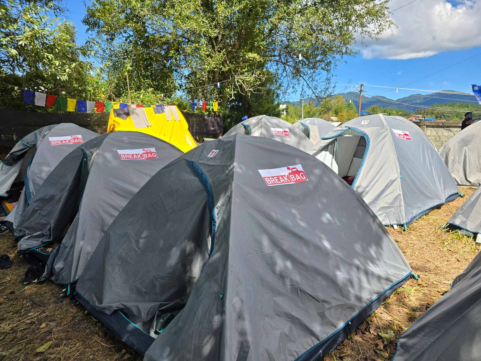 Best Experience In Ziro Festival Of Music 2026 (Tent, Hotel And Homestay Edition)