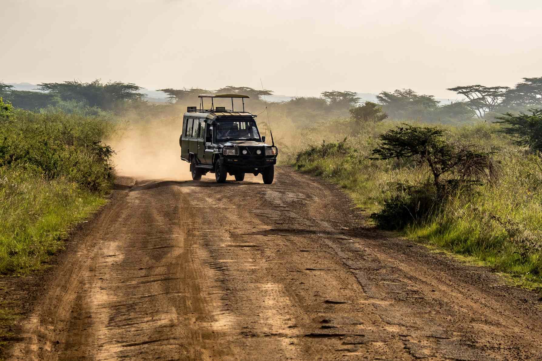 Beyond Wildlife: Discover Maasai Culture and Local Traditions in Kenya