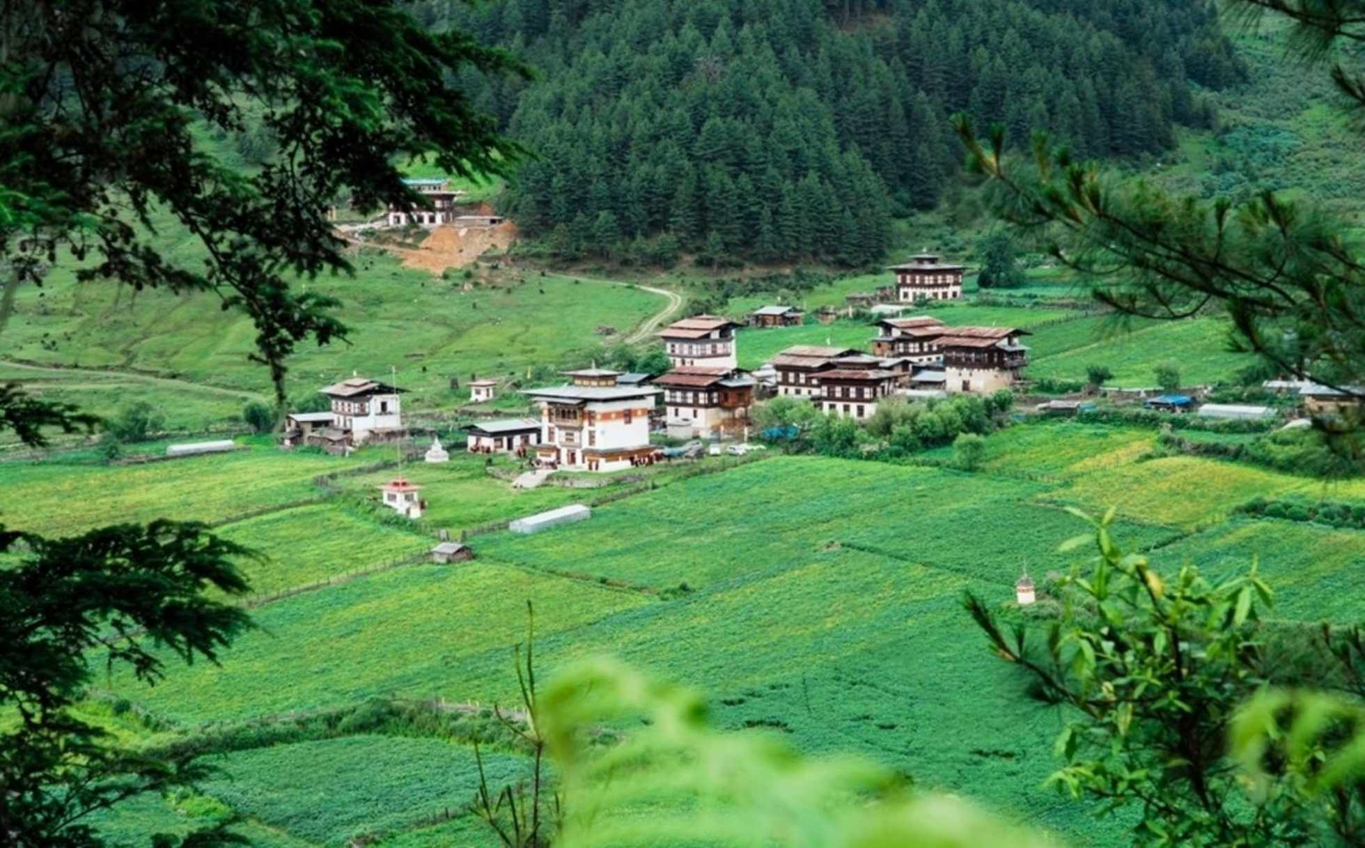 Book Now! Bhutan Tour Packages From Germany | Price @ ₹19,500 INR | Get Up To 45% Off