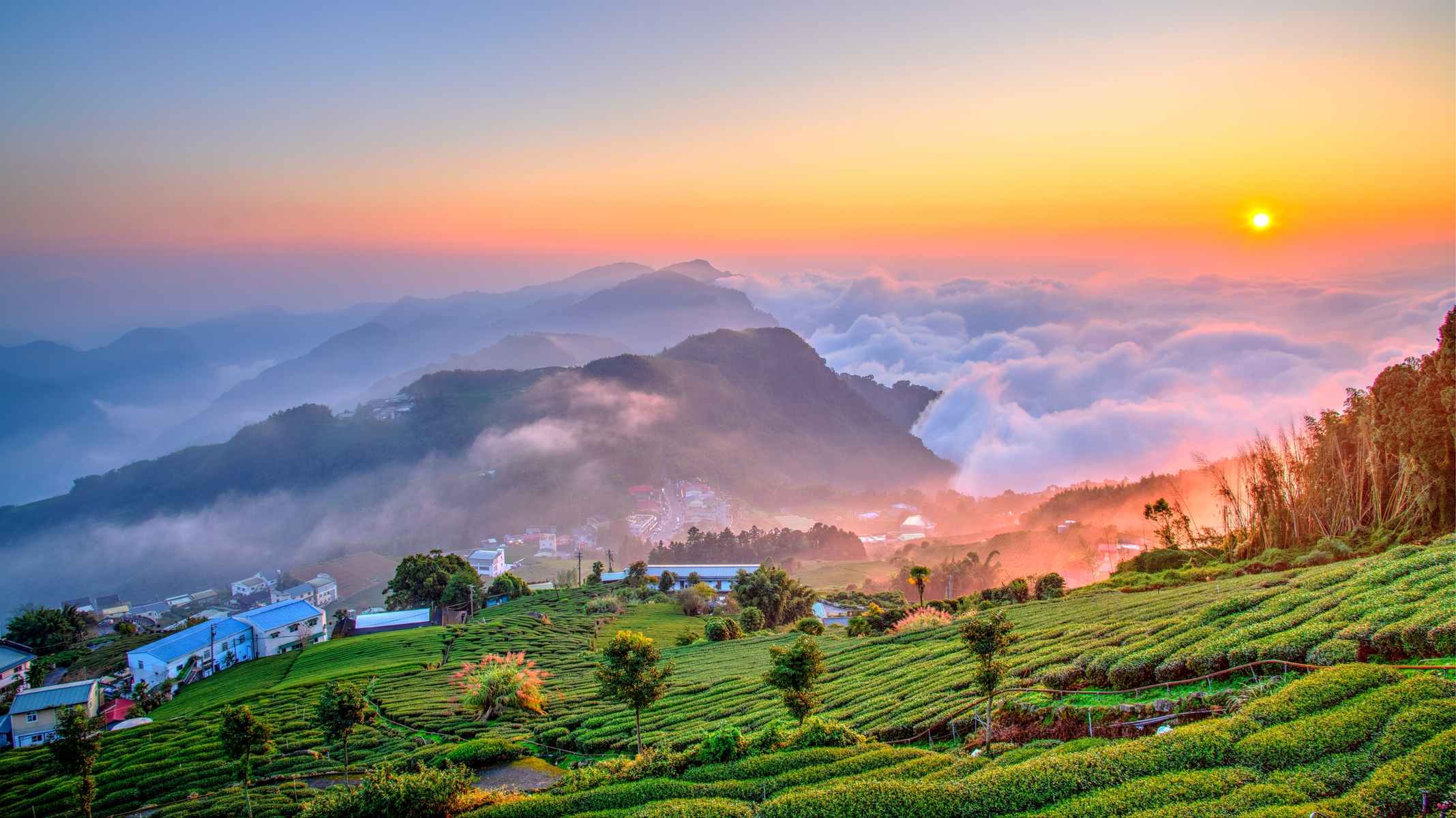 Book Now! Hotselling 6 Night 7 Days Taiwan Tour Packages From Kolkata | Get Upto 45% Off