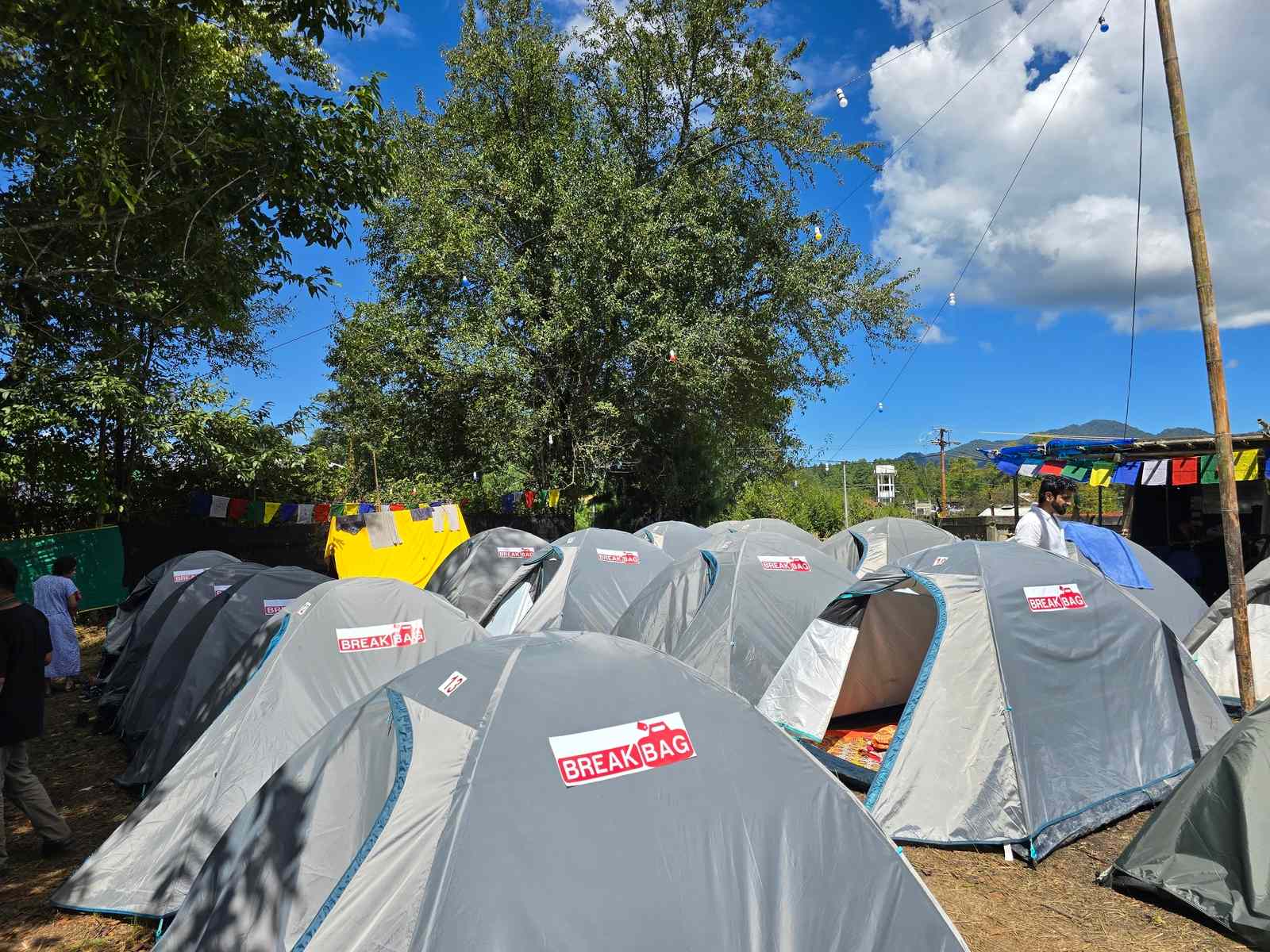 Camping in Ziro: Waking Up Inside a Music Festival on a Rice Field