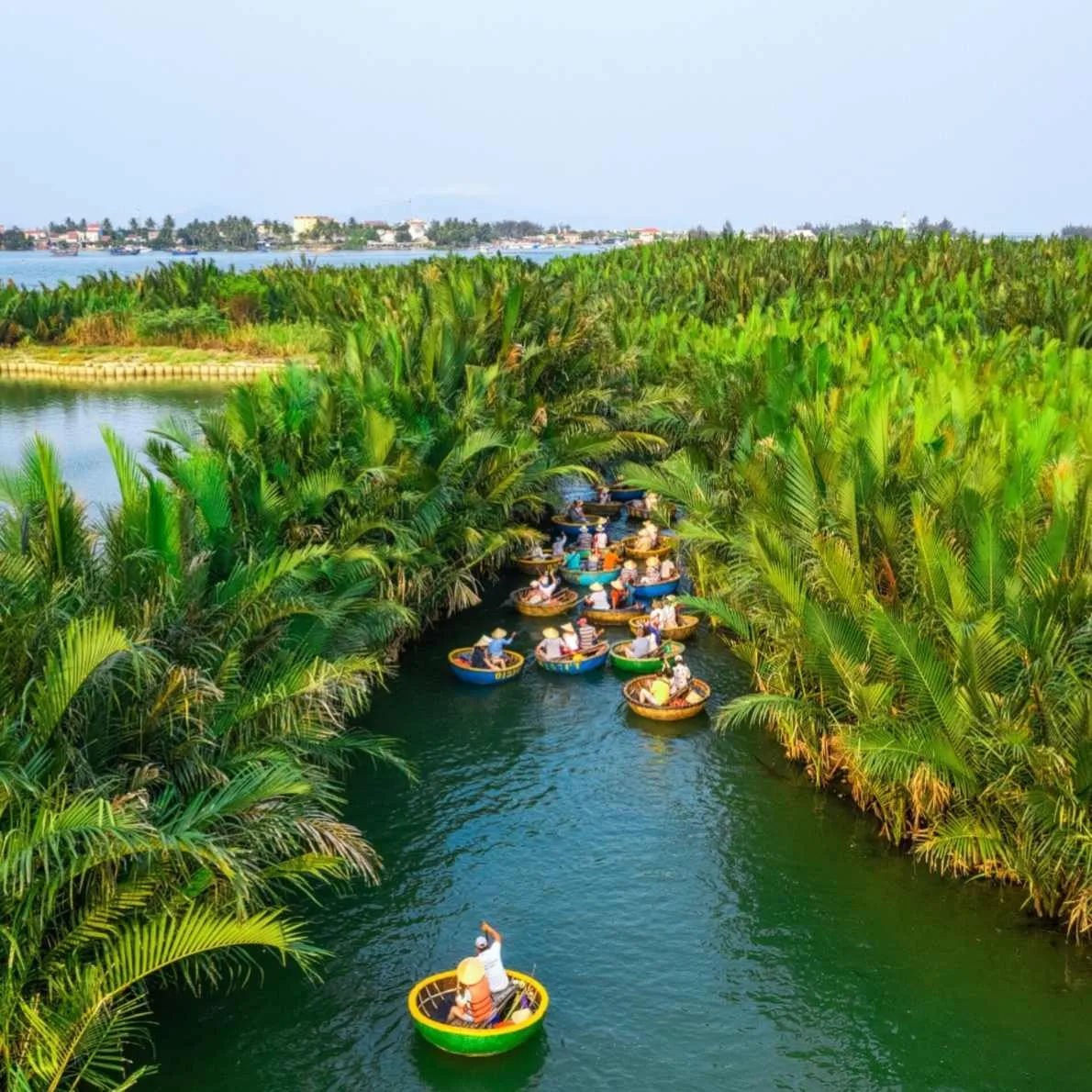 Coconut Forest Basket Boat Ride from Da Nang