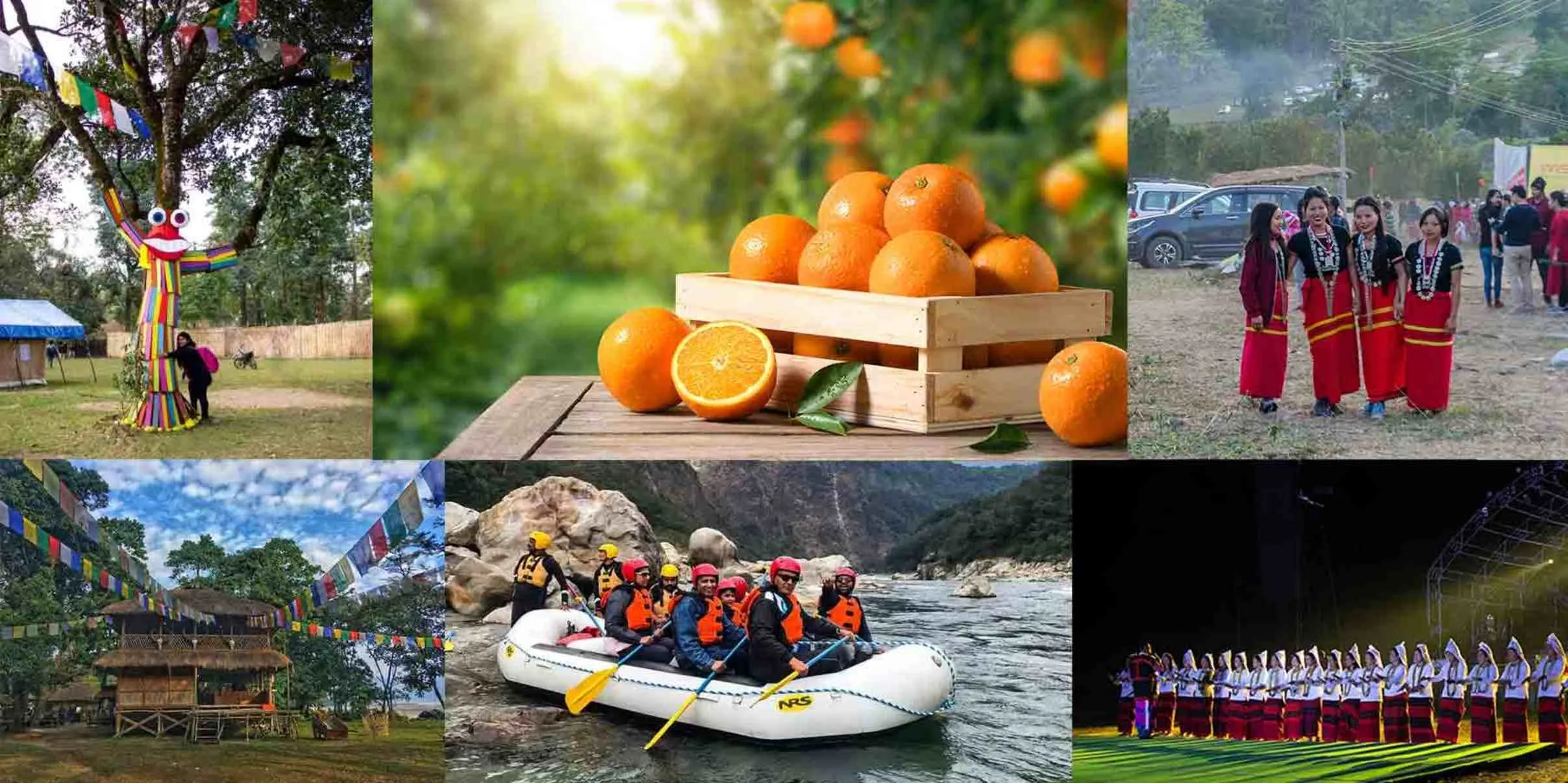 Dambuk Orange Festival 2025: A Complete Travel Guide to Arunachal’s Rock and Orange Celebration