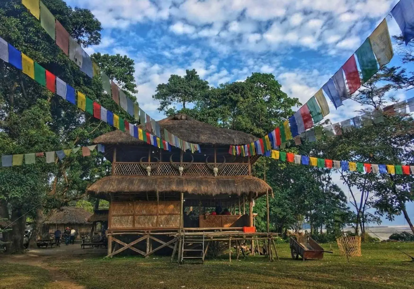 Dambuk Orange Festival: The Offbeat Music & Adventure Festival of Arunachal Pradesh