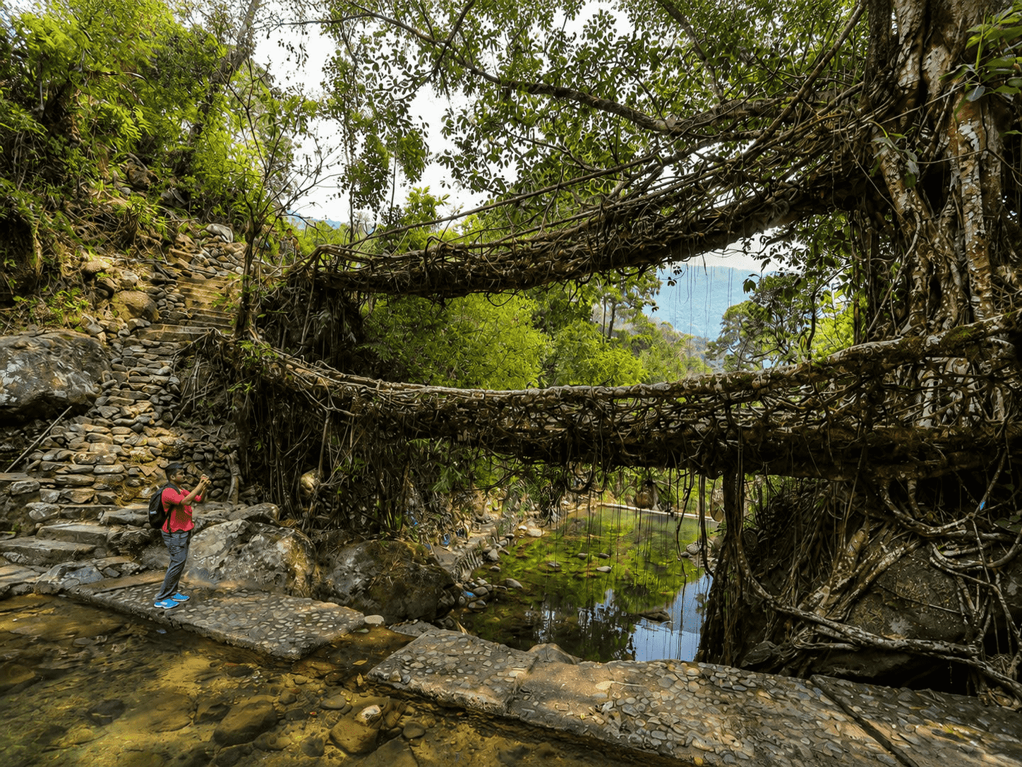Meghalaya Honeymoon Magic : Shillong & Cherrapunjee