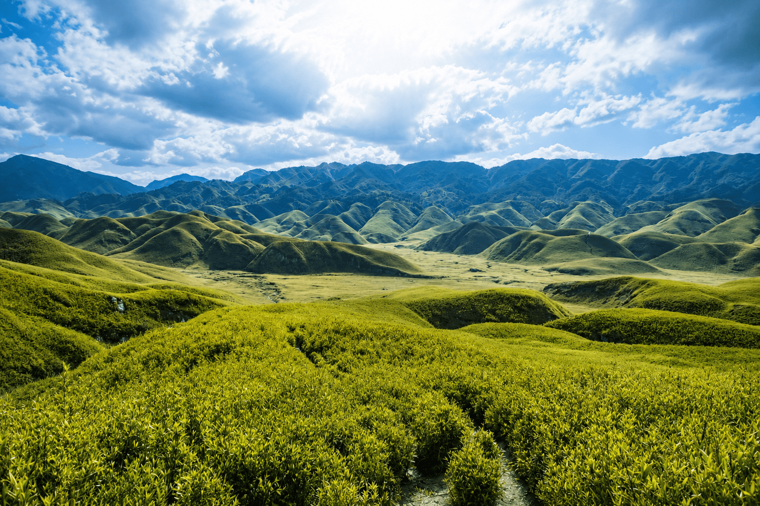 Heritage of Nagaland: Kigwema to Kohima