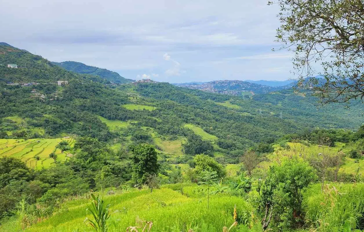 Hornbill Festival with Kigwema Dzukou Valley and Dzulekie