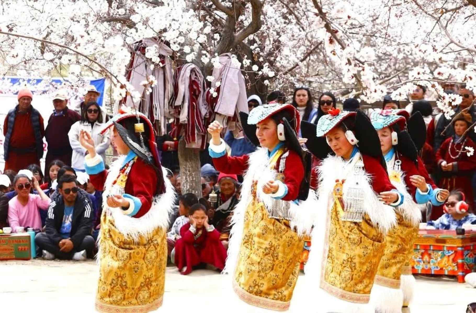 Experience Ladakh in Bloom: Apricot Blossom Festival Tours from India & Abroad