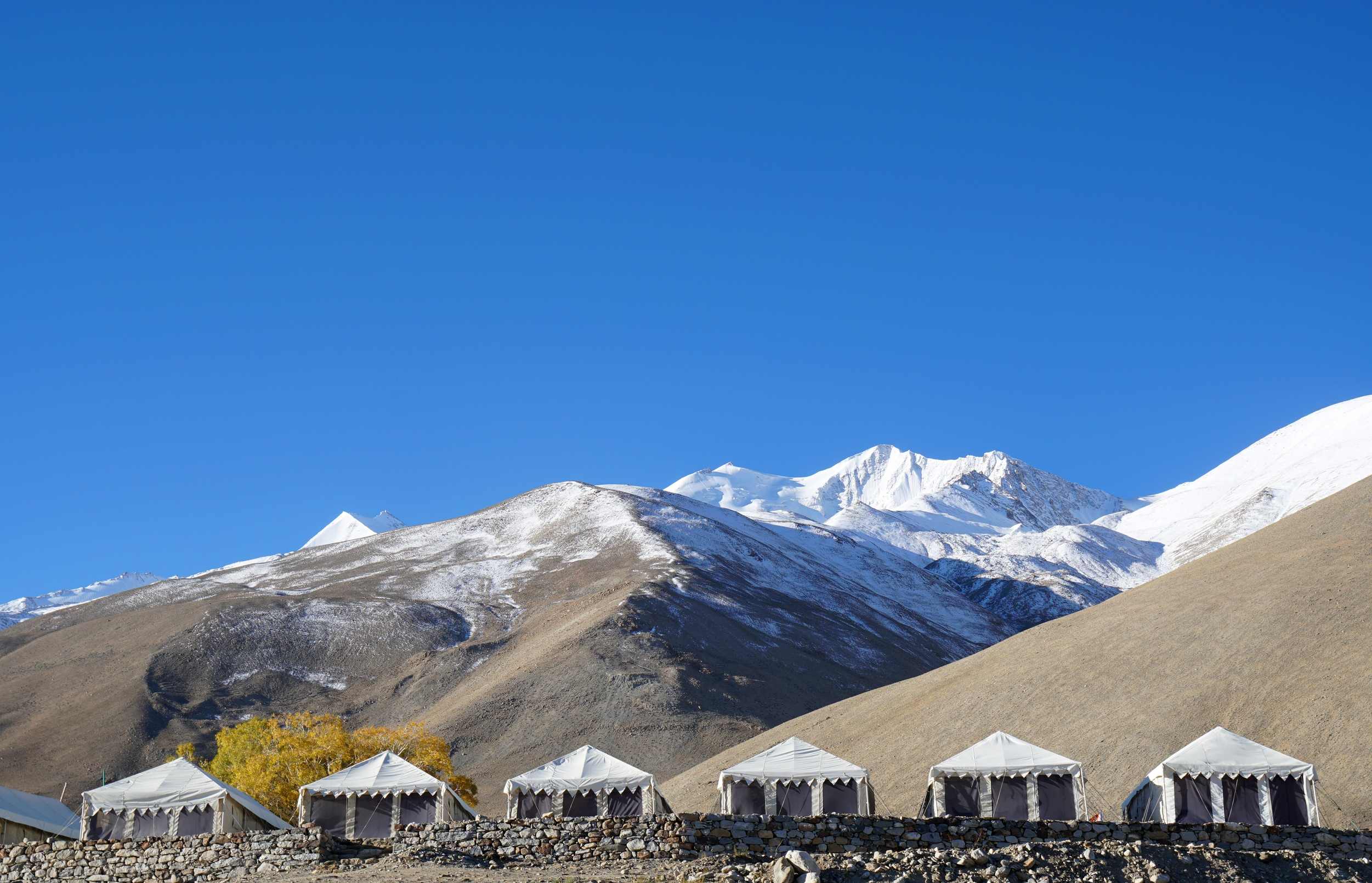 Best Leh Ladakh Tour Packages – Apricot Blossom Festival Ladakh Tour Packages 2026 | Ladakh Spring Tour Packages
