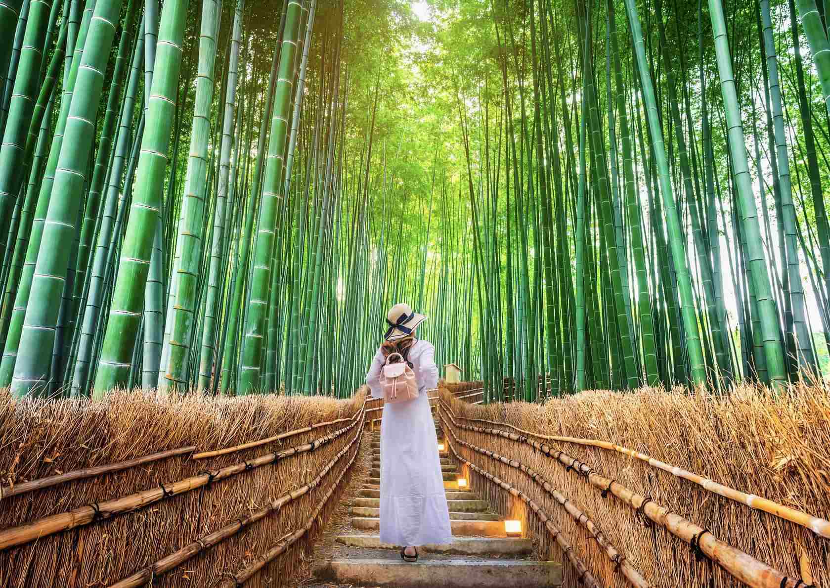 First-Timer's Guide to Japan: Everything You Need to Know