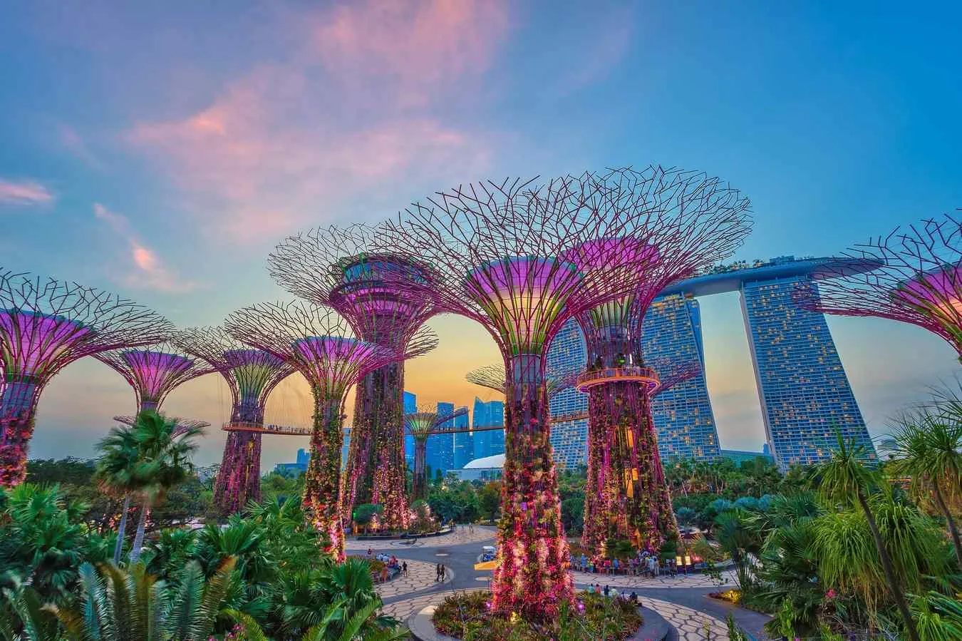 Explore Singapore: Gardens by the Bay to Marina Bay Sands