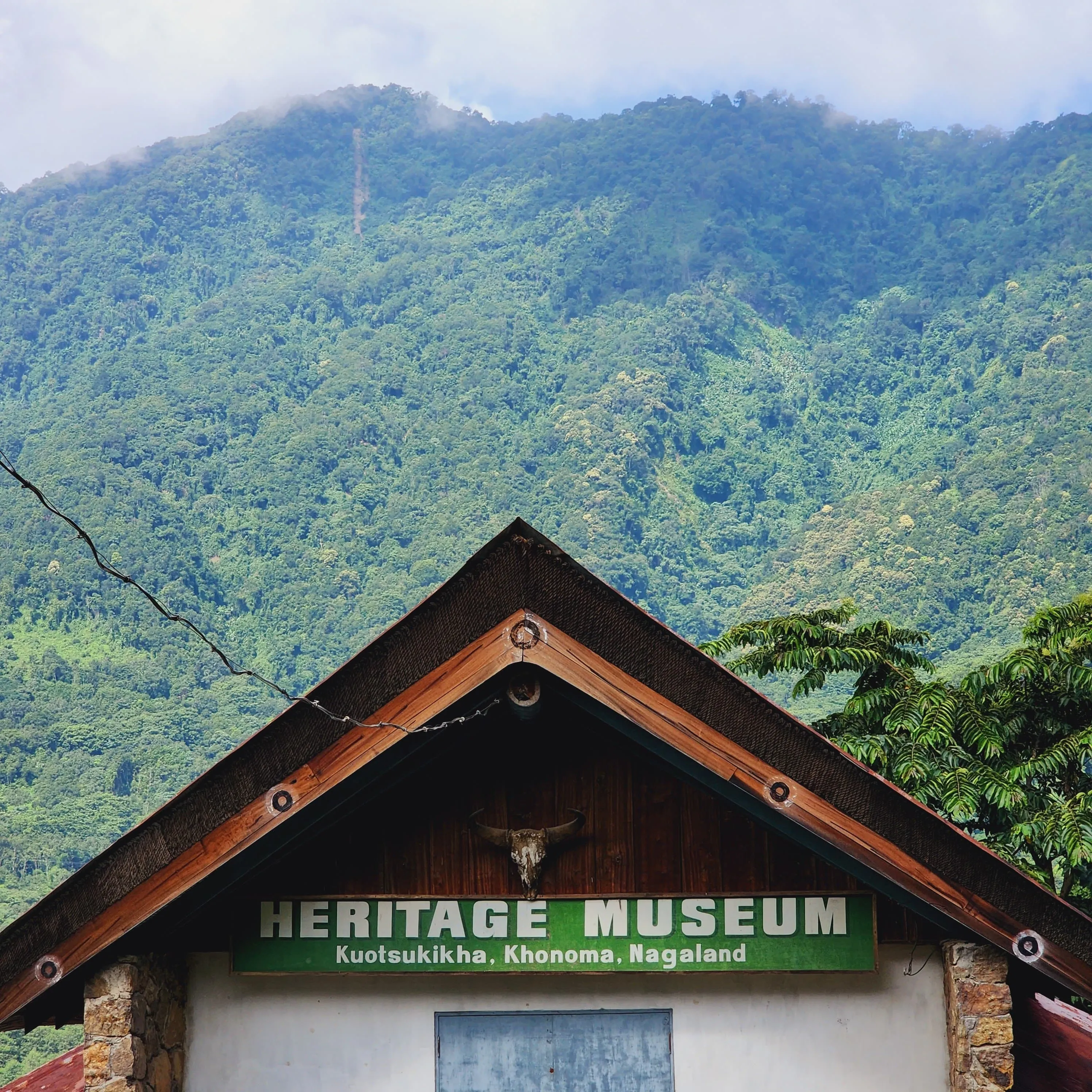 Discover Nagaland with Dzuko Valley Trek