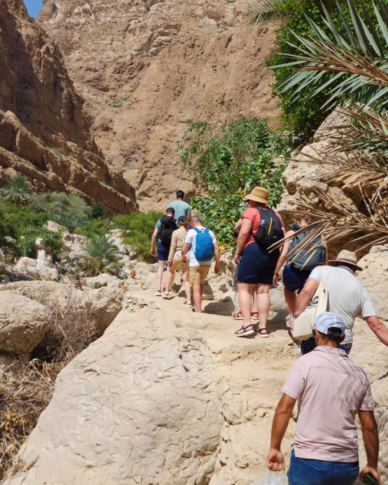 5 Days of Oman Wonders