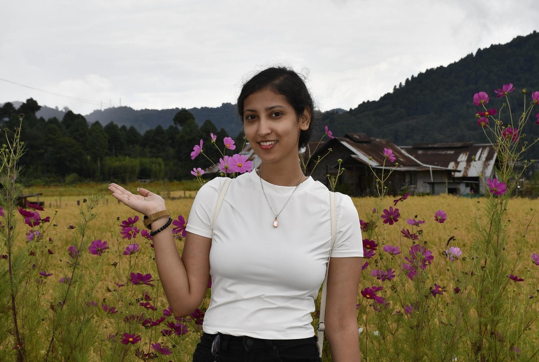 Homestay in Ziro Near the Festival Grounds — Stay With BreakBag