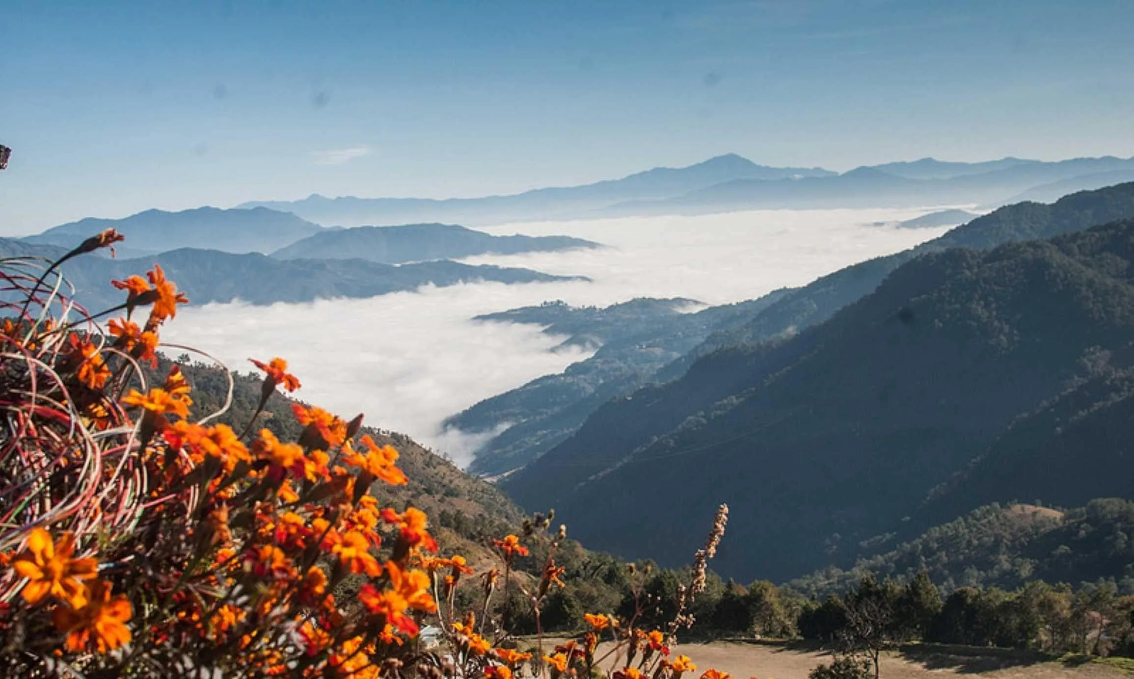 Beyond Hornbill: Offbeat Destinations in Nagaland You Must Visit