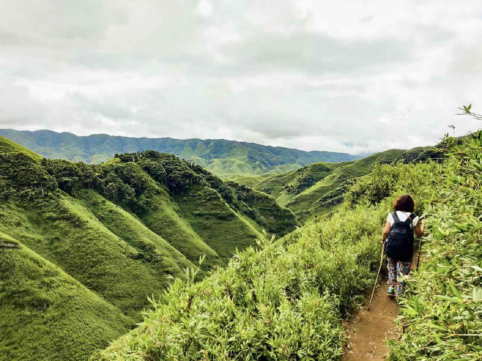 How to Plan a Dzukou Valley Group Trek in 2026: Packages, Permits, Packing List & Everything First-Timers Must Know