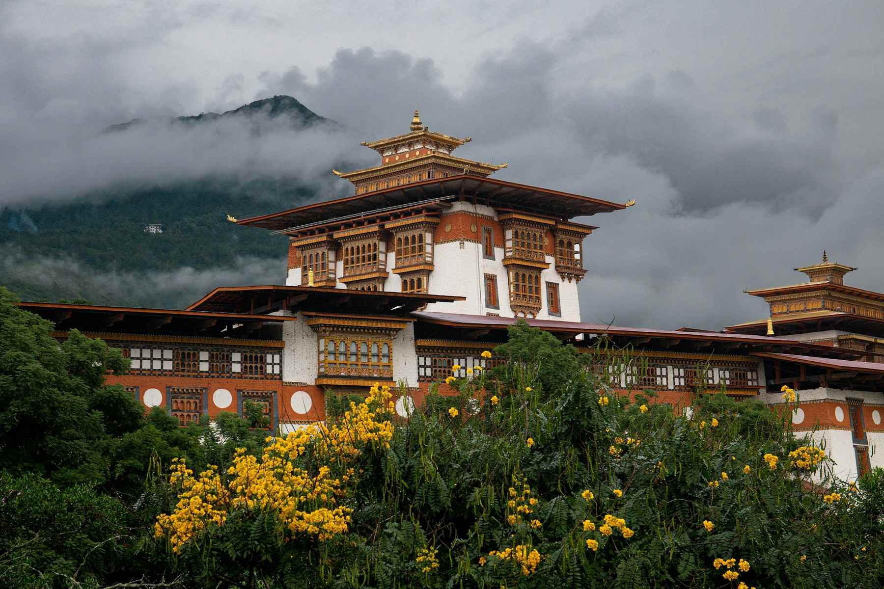 India's Best-Selling Bhutan Tour Packages 2026 From China – 4N/5D Affordable Trips @ ₹19,500 (45% Off)