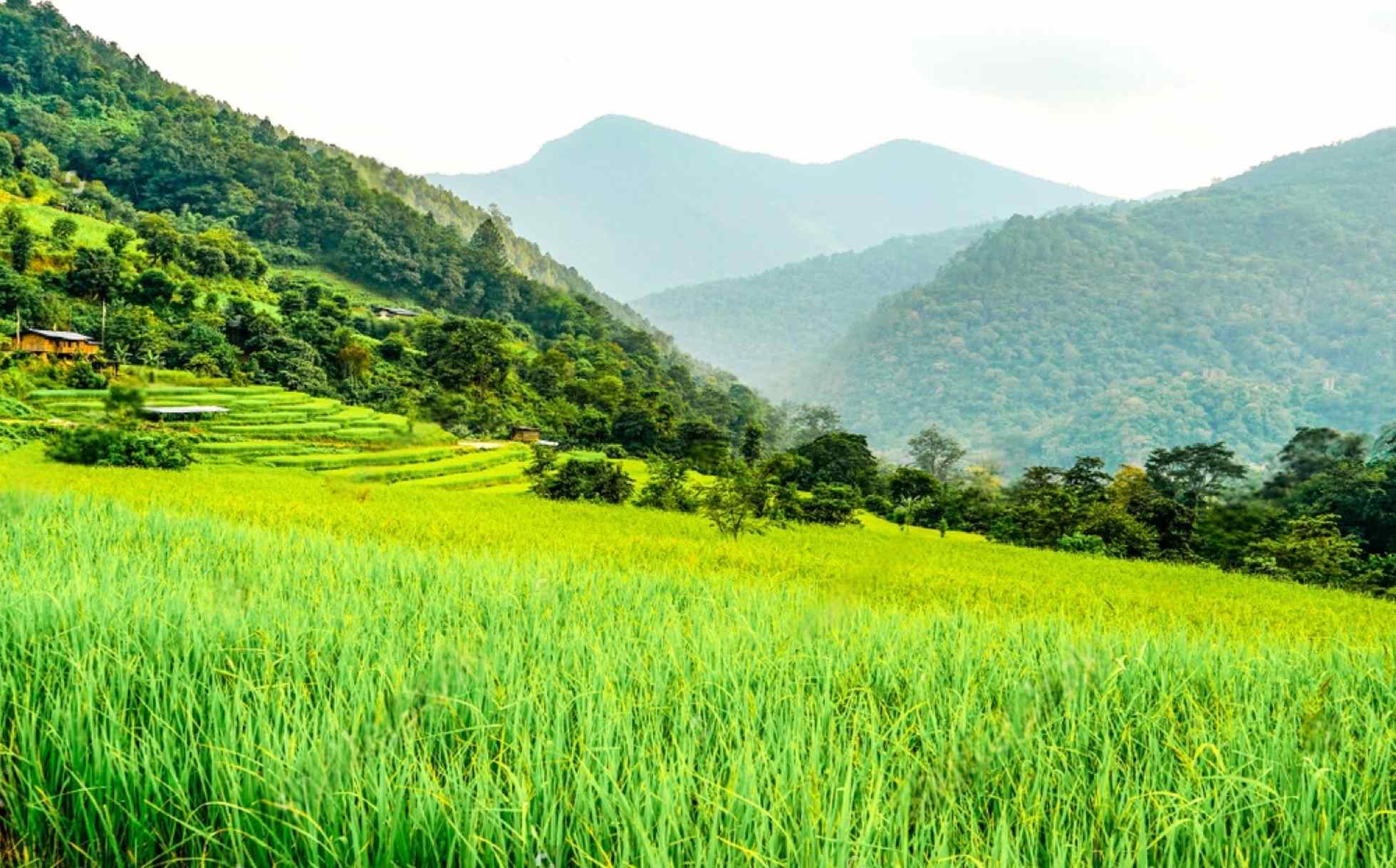 India's No.1 Eco-Friendly Bhutan Tour Packages: How Breakbag Holidays Promotes Sustainable Tourism In The Himalayas