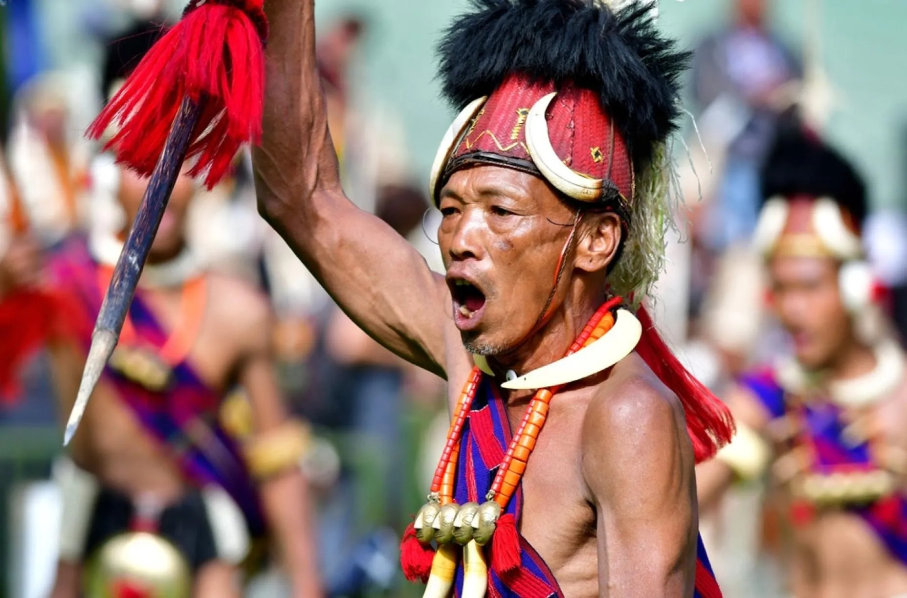 Why Australian Backpackers Are Choosing Hornbill Festival Over Goa This Year