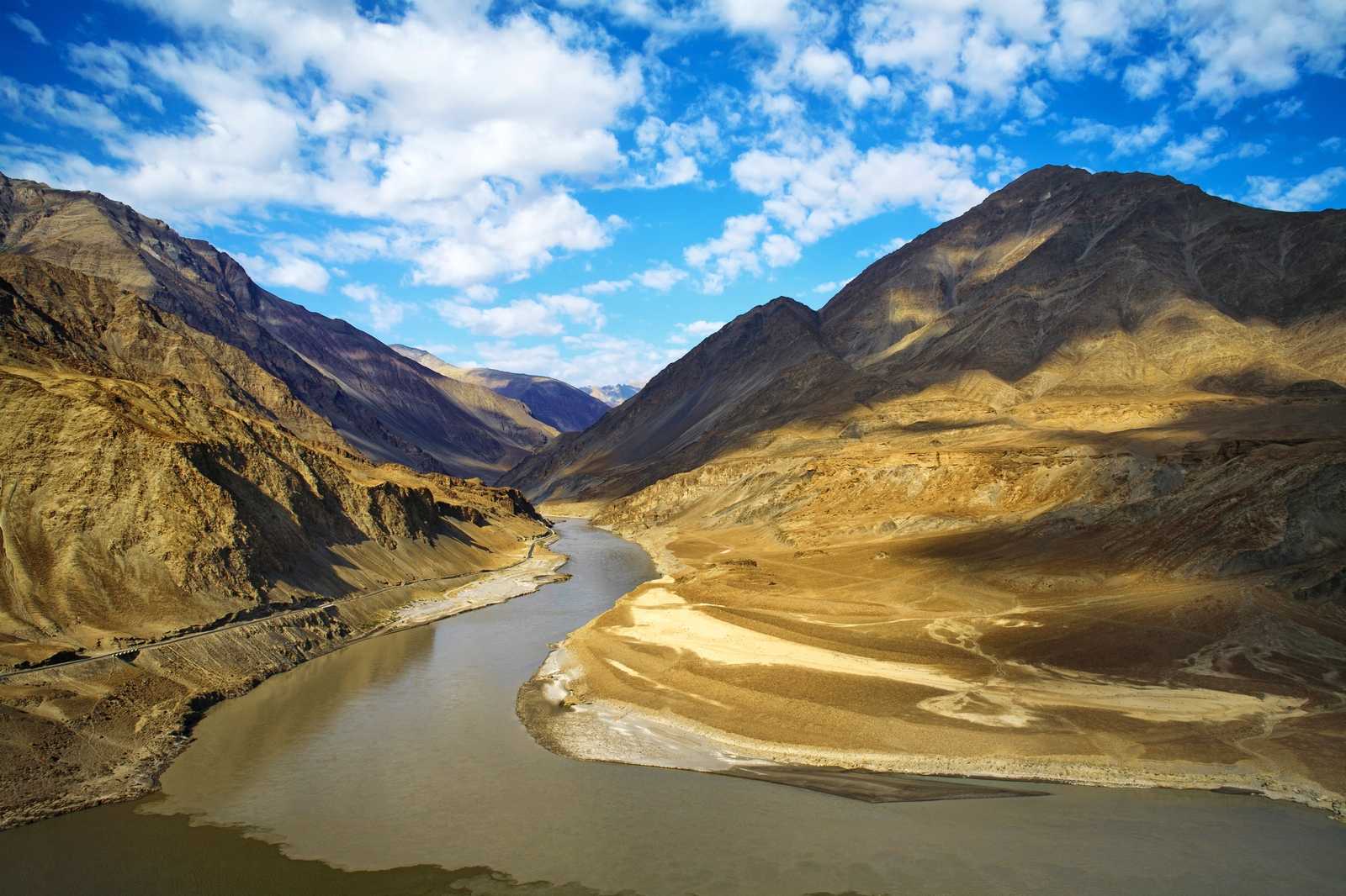 Ladakh Apricot Blossom Festival