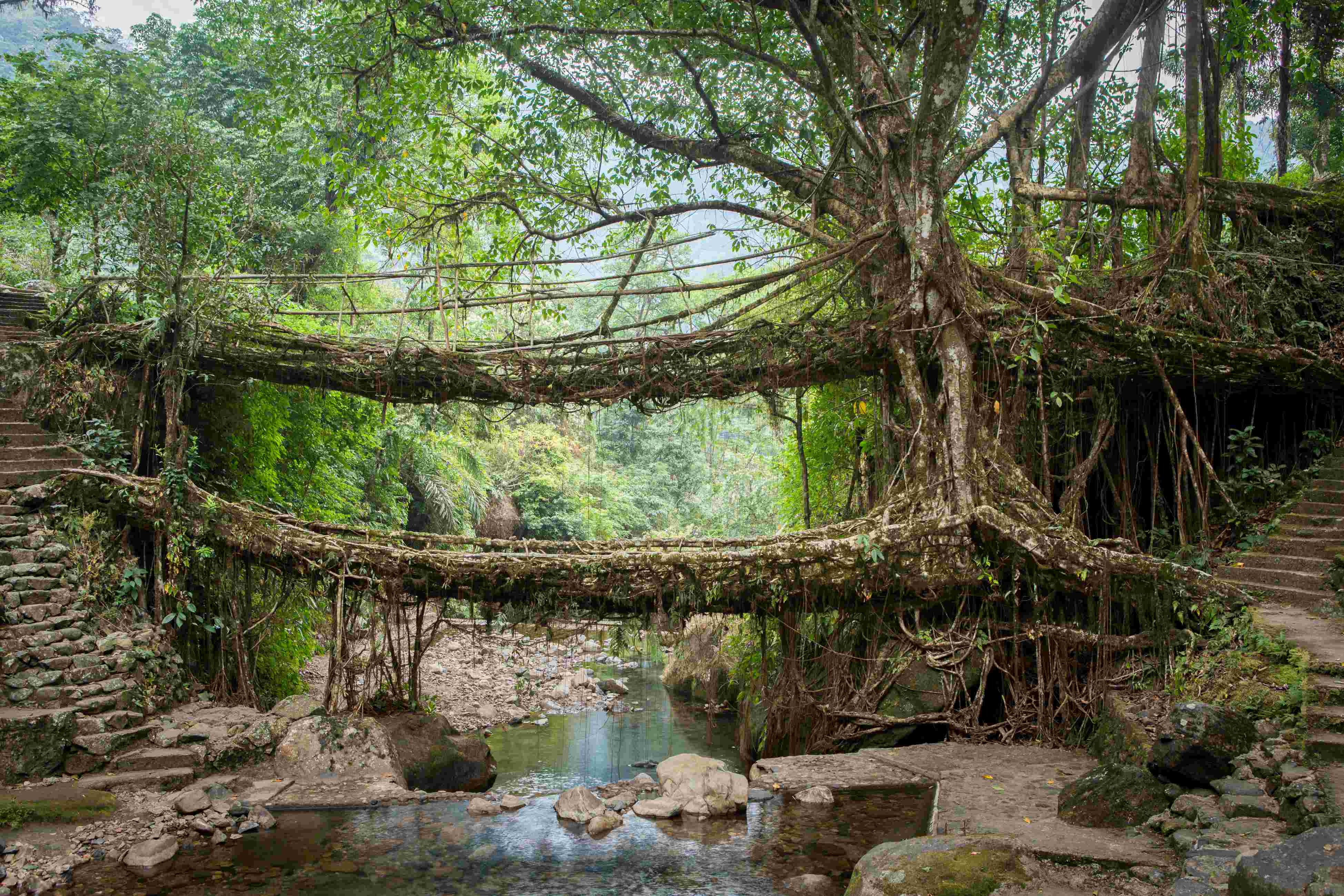 Hiking Khasi hills of Meghalaya : 5 Nights Itinerary