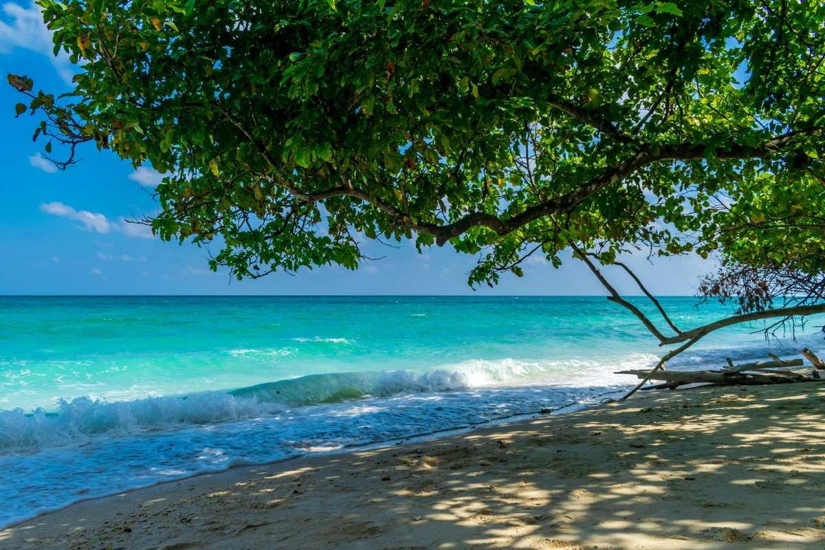 6 Days 5 Nights Budget Andaman Escape