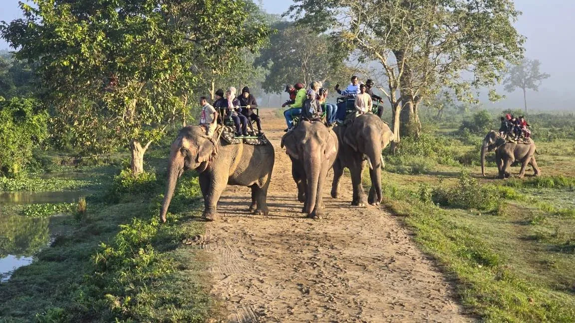 Group Trip to Meghalaya with Kaziranga