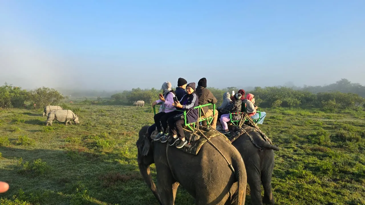 Group Trips to Meghalaya & Kaziranga Specially Designed for LGBTQ Community