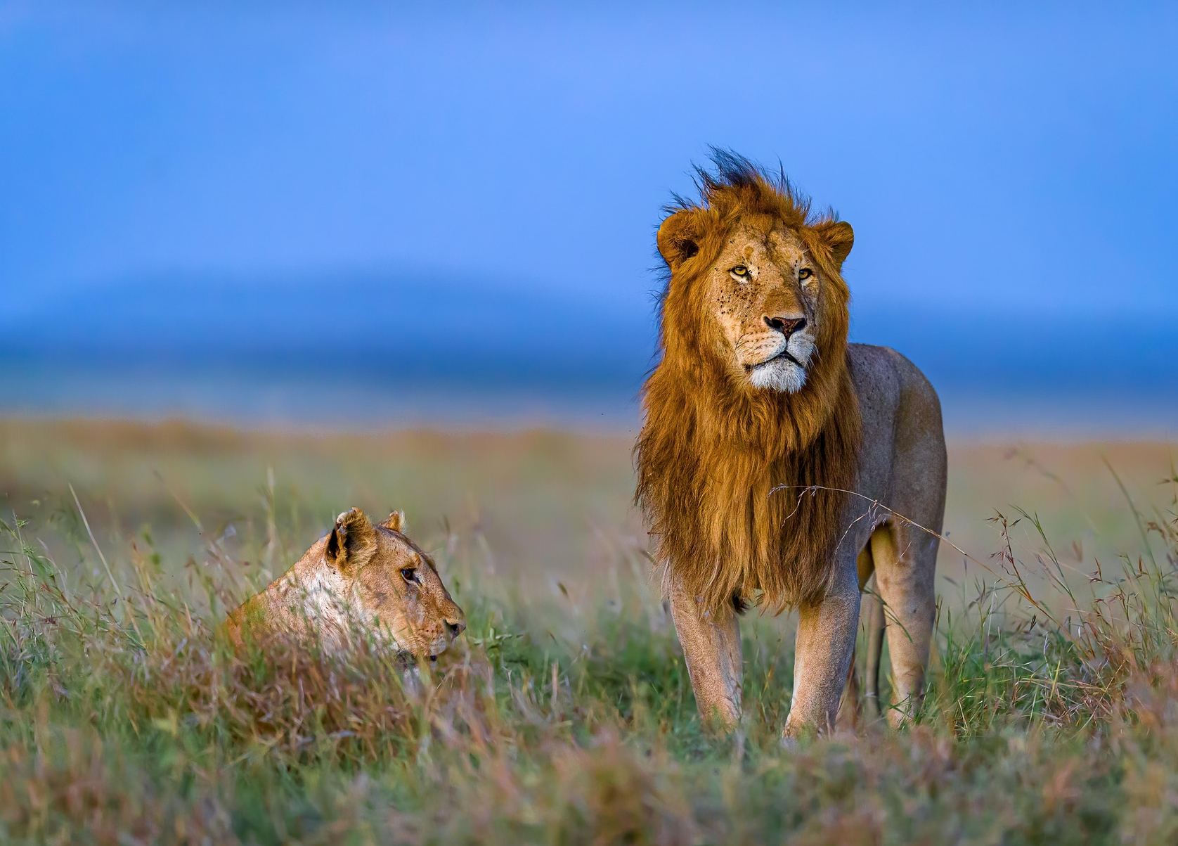 Kenya Group Tour 2026: Why Group Travel is the Best Way to Explore Africa