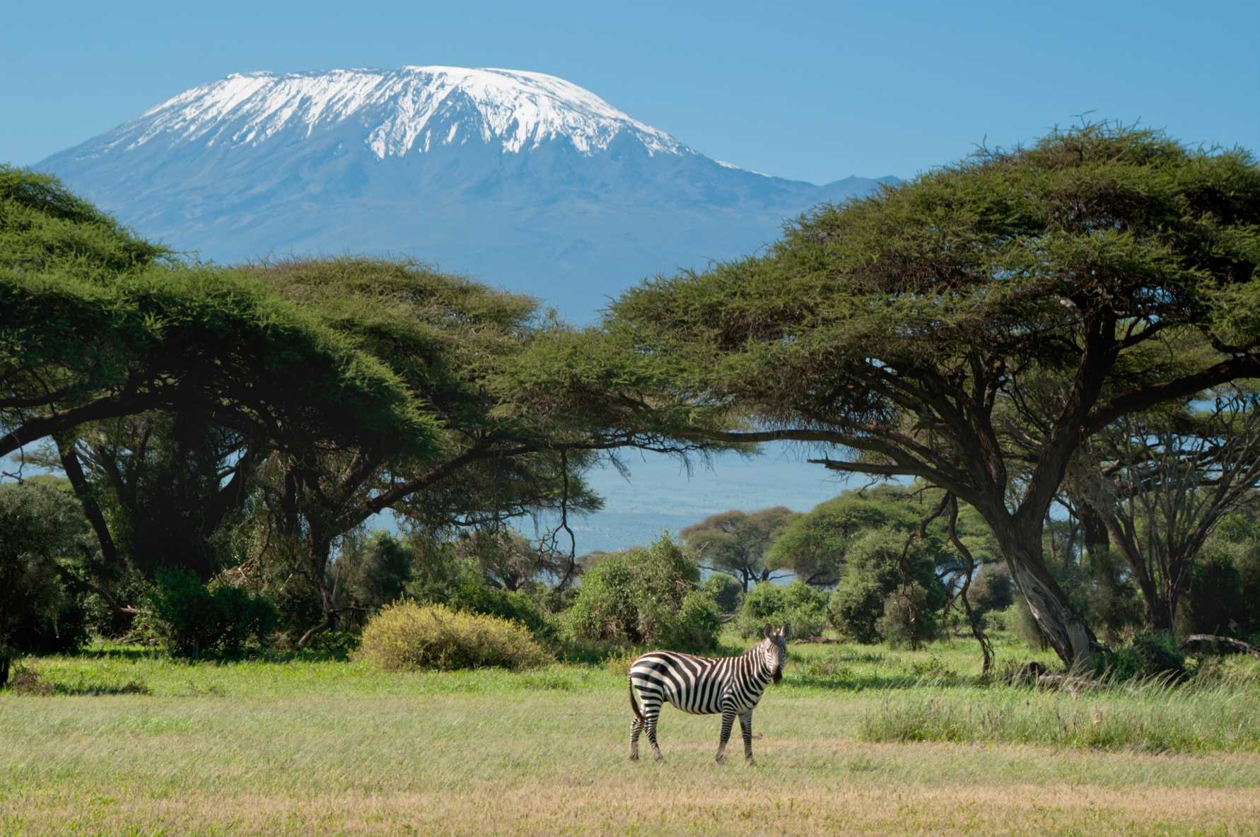  Kenya Safaris Tours for 2026 — All Inclusive Kenya Safari Packages With Lodges, Transfers, Game Drives & Park Fees.