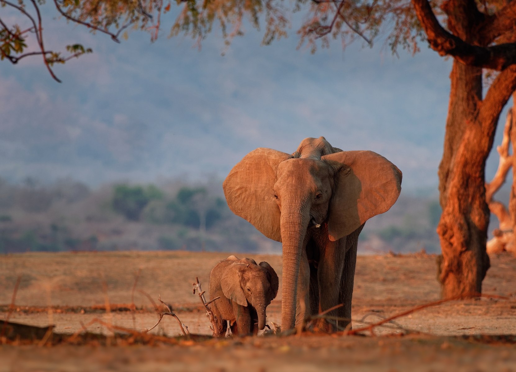 Kenya Through the Lens: Most Instagrammable Places in Kenya