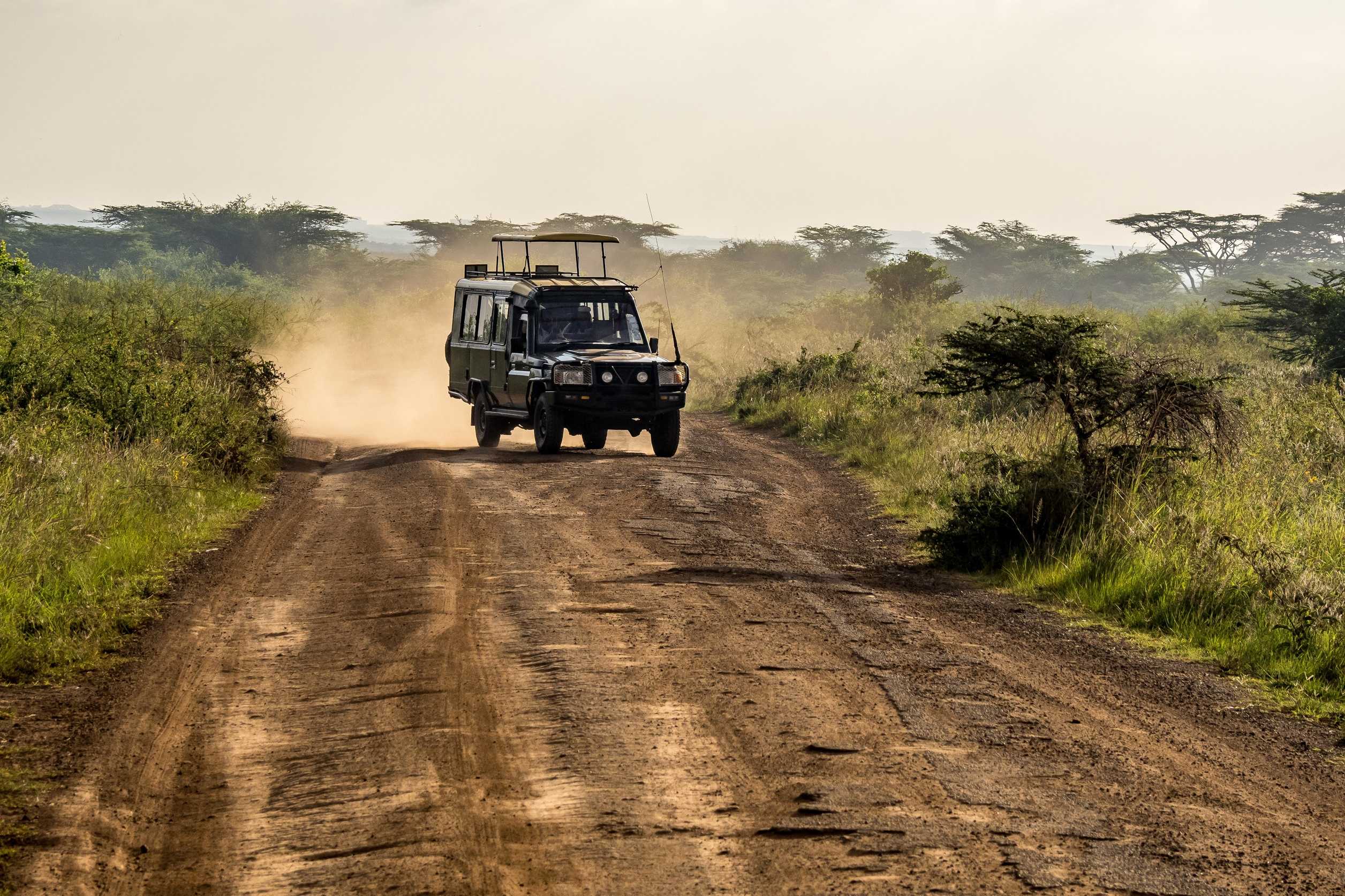 Kenya Wildlife Group Tour: 7-Day Masai Mara Safari