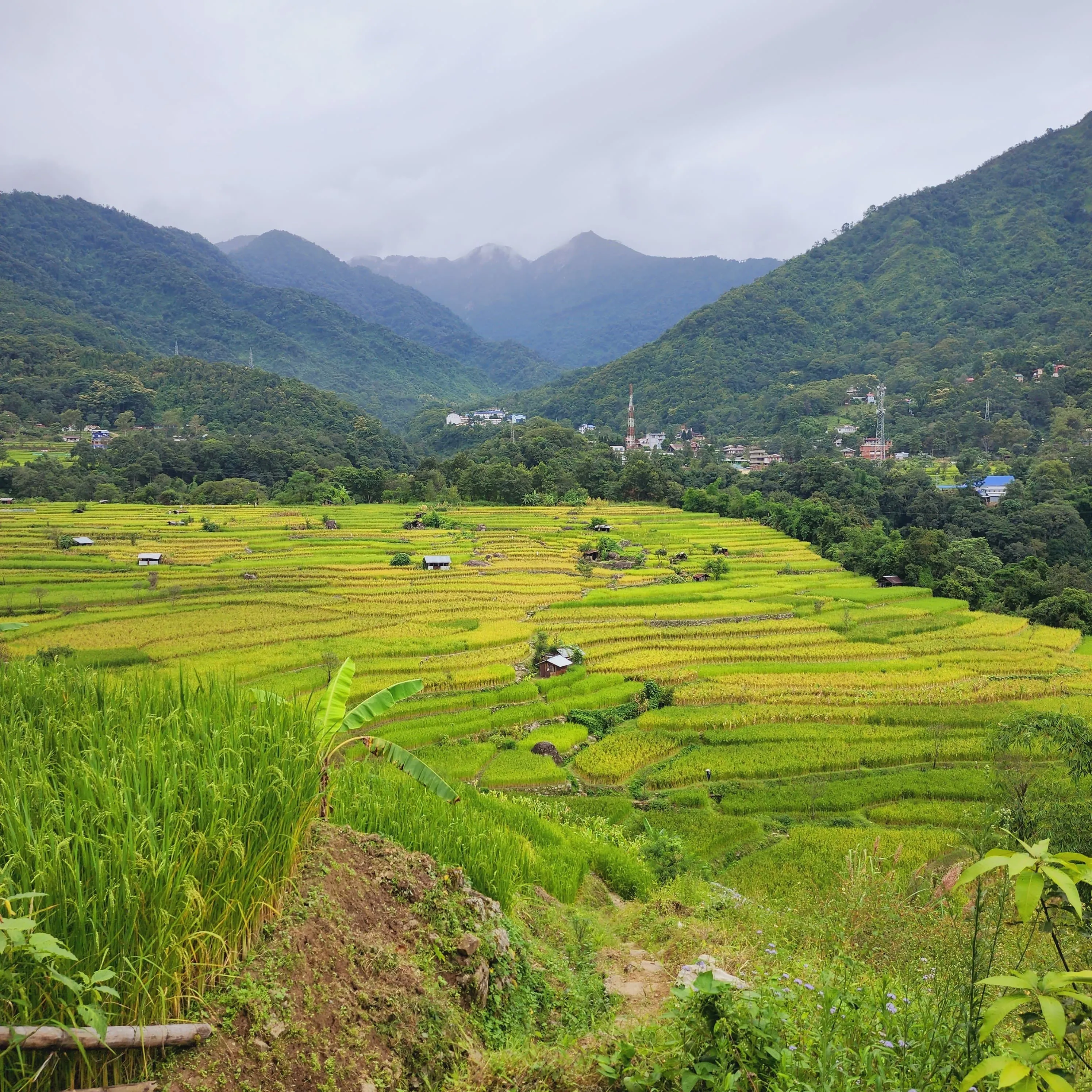 Heritage of Nagaland: Kigwema to Kohima