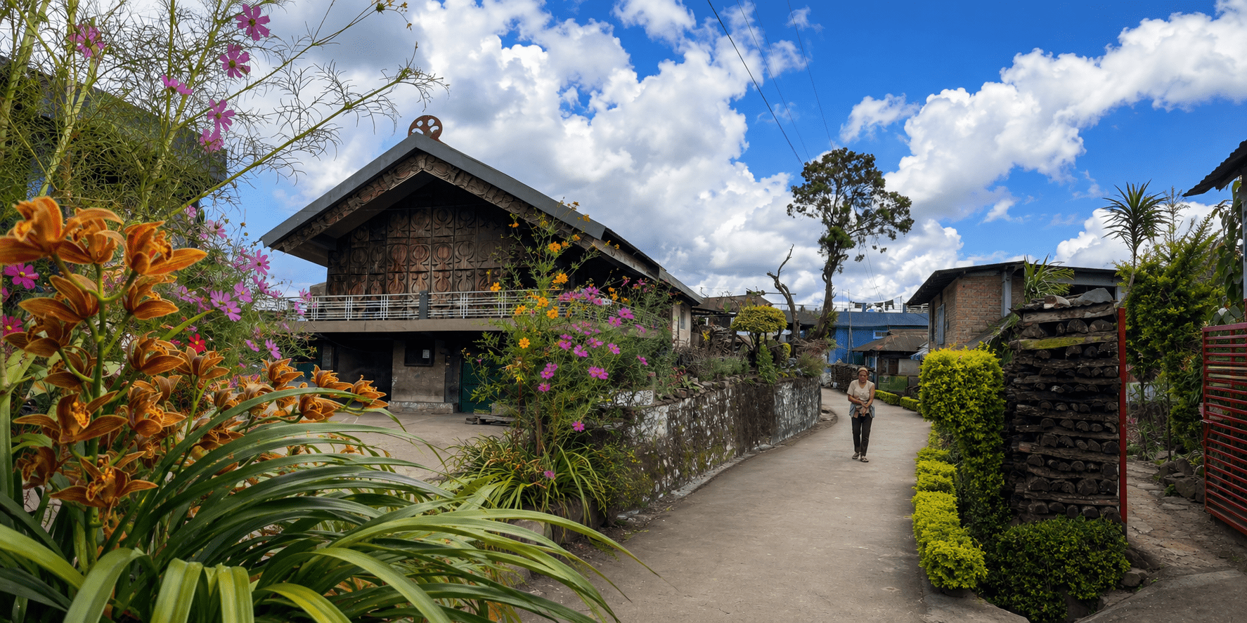 Image for Discover Nagaland with Dzuko Valley Trek