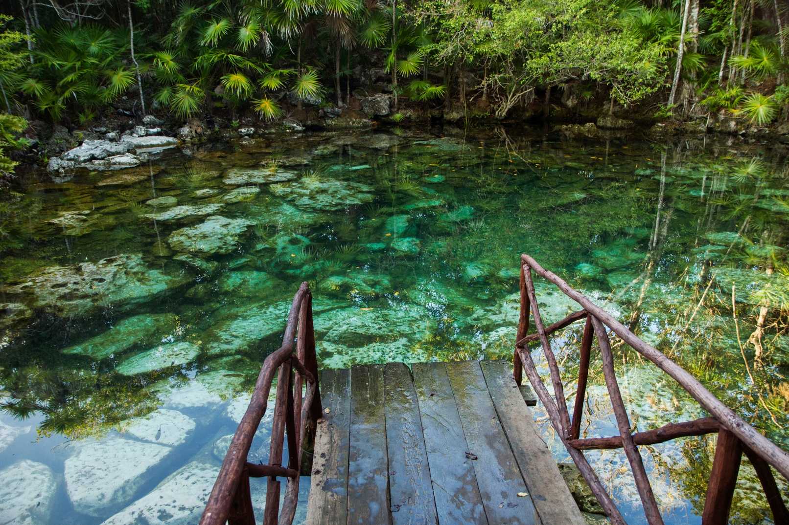 Krabi Rainforest Discovery Tour with Lunch
