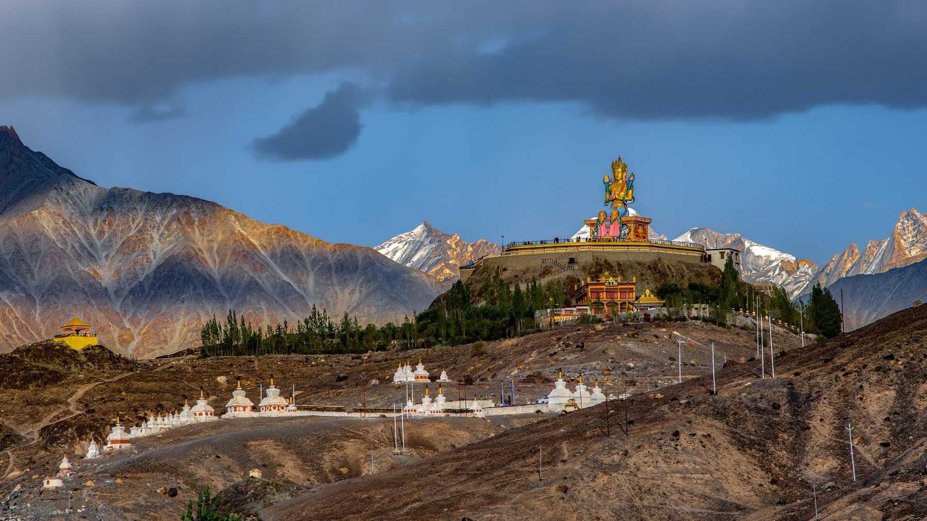 Ladakh Apricot Blossom 2026 Group Tour - 7 Nights