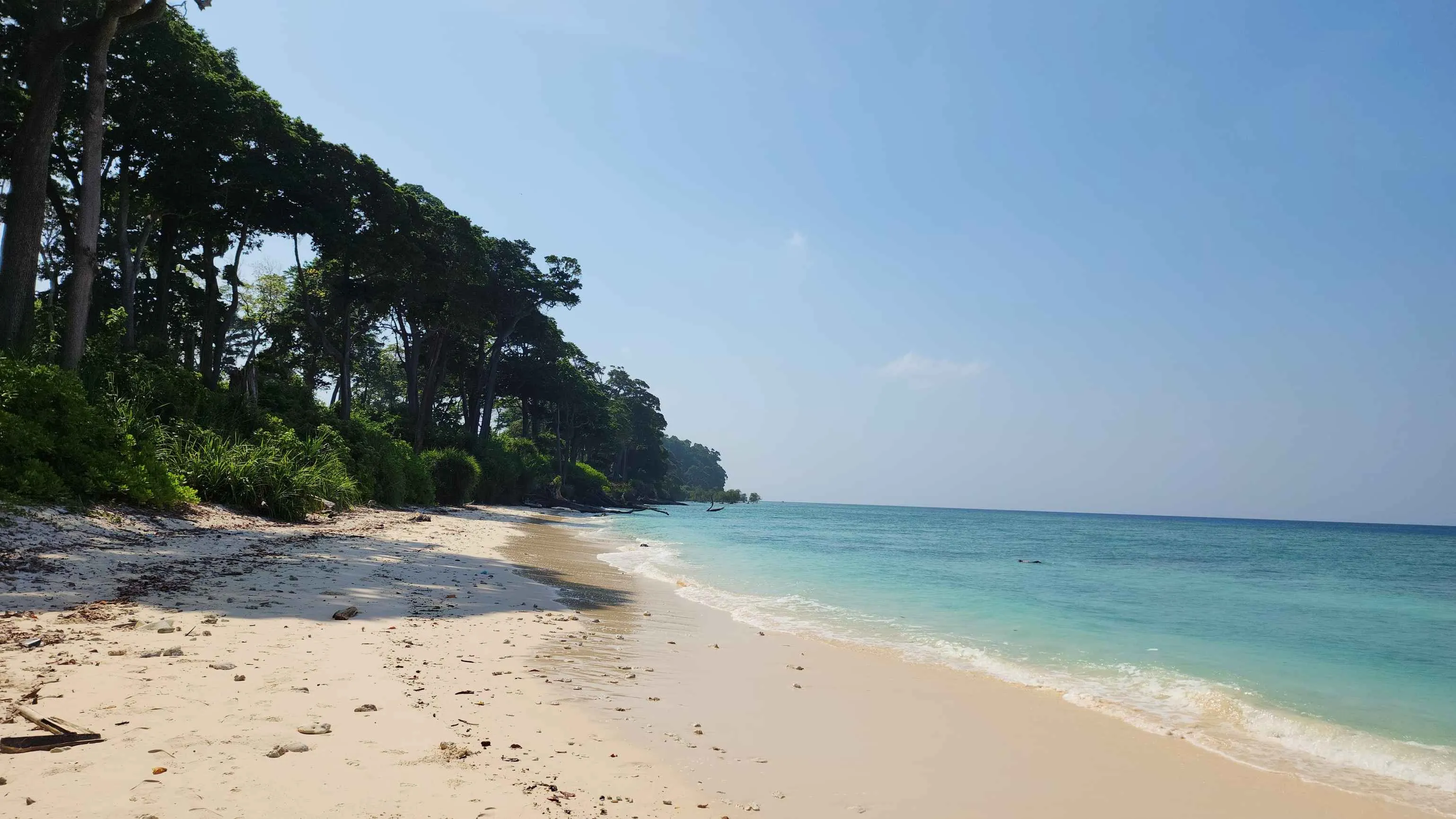 Laxmanpur Beach: A Hidden Gem in the Andaman Islands