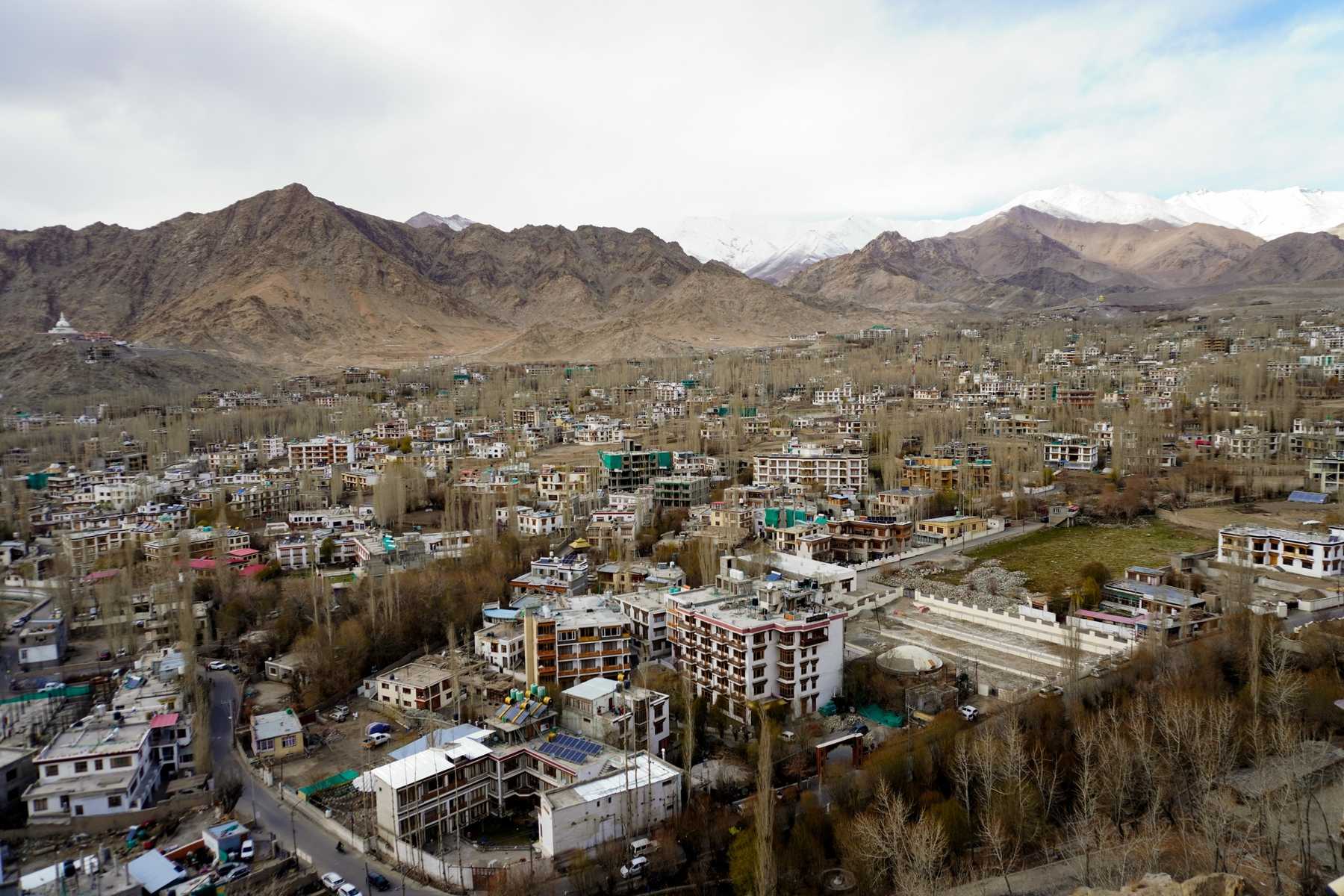 Apricot Blossom Festival Ladakh
