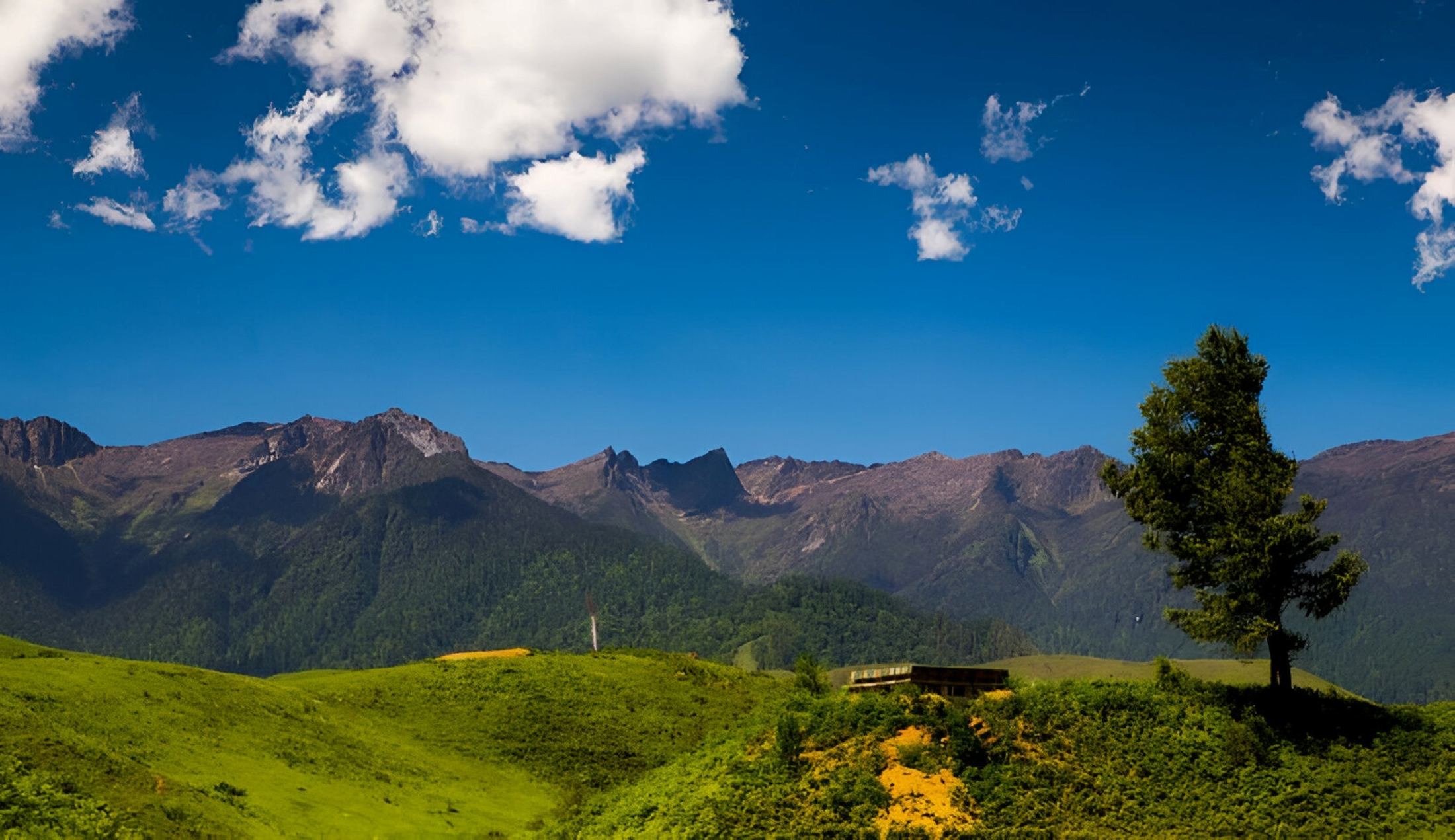 6 Days Mechuka with Roing Offbeat Arunachal Tour