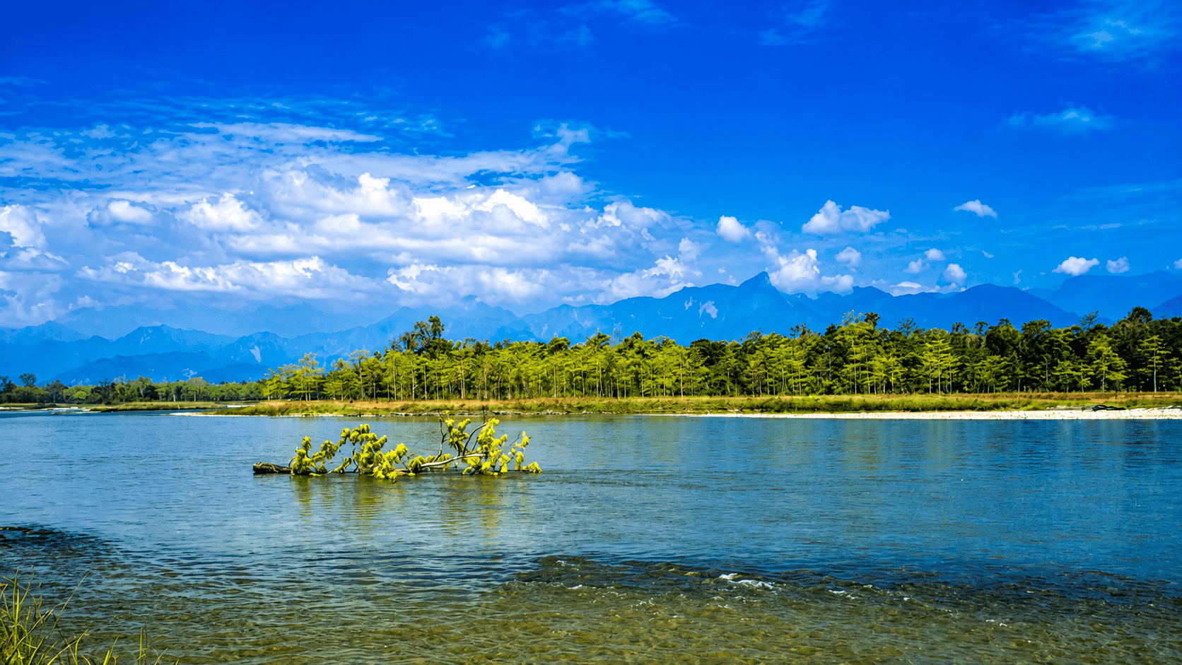 Image for Authentic Arunachal Experience