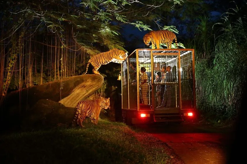 Singapore City & Night Wildlife Escape