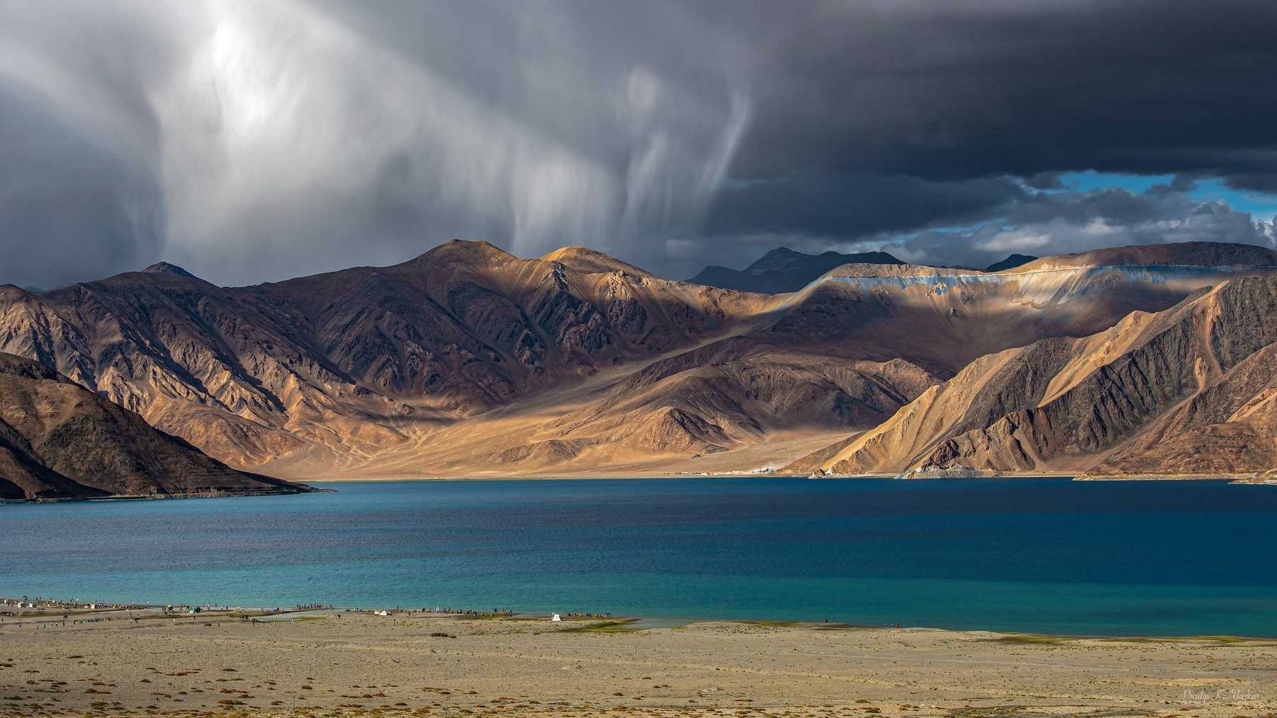 Ladakh Apricot Blossom Festival
