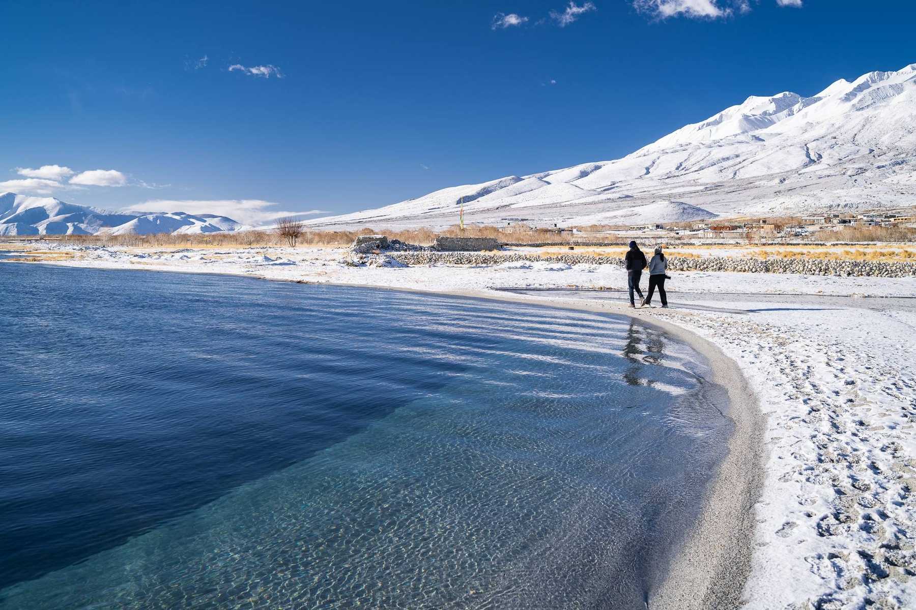 Ladakh Apricot Blossom 2026 Group Tour - 7 Nights