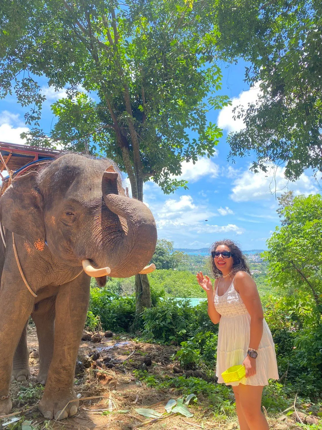 Phuket City Tour with Big Buddha Guide