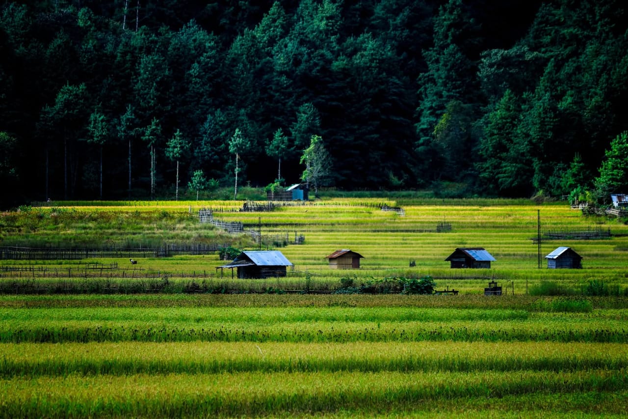 Weekend Getaway to Valparai