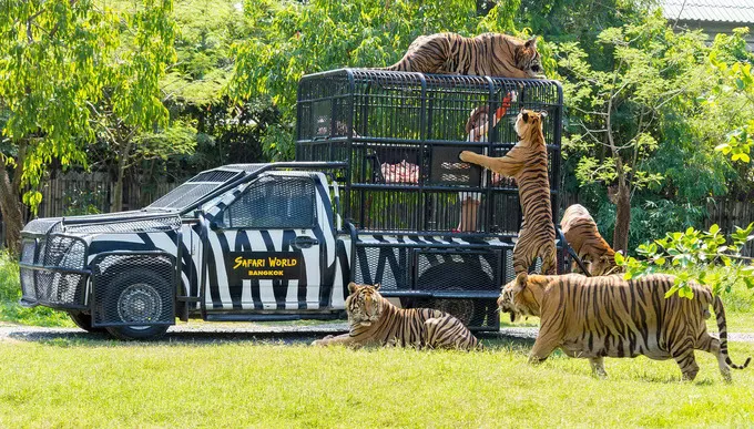 Safari World & Marine Park with Buffet Lunch